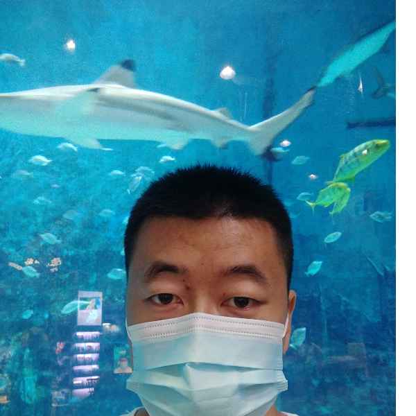 河北34岁单身帅哥真诚找对象-湖北征婚相亲网